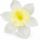 Umelý narcis maslový 12 cm