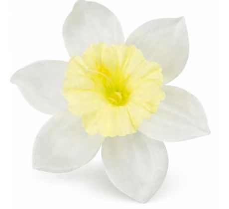 Umelý narcis maslový 12 cm