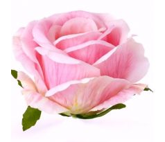 Umelá ruža ružová 9 cm