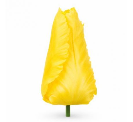 Umelý tulipán saténový žltý 9 cm
