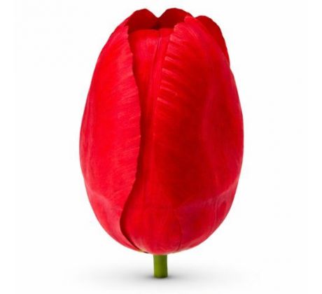 Umelý tulipán saténový červený 6 cm