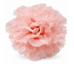 Umelý karafiát broskyňový 8 cm