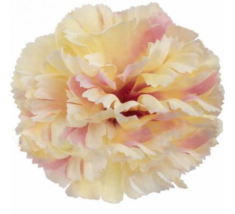 Umelý karafiát krémovofialový 9 cm