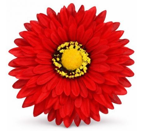Umelá gerbera červená 15 cm