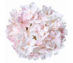 Umelá hortenzia ružová obyčajná 15 cm