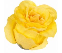 Umelá ruža puk W681-04