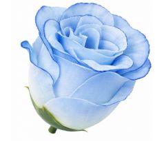 Umelá ruža puk W681-08