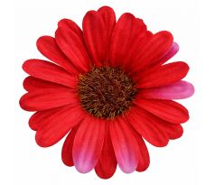 Umelá krasuľka červená 8 cm