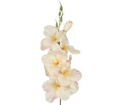 Umelá gladióla saténová krémovo-ružová 54 cm