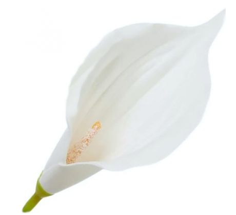Umelá kala biela 16 cm