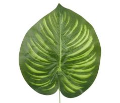Umelý list Calathea 41 cm