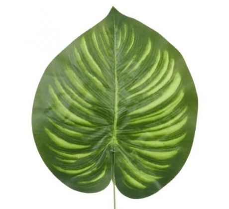Umelý list Calathea 41 cm