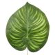 Umelý list Calathea 41 cm