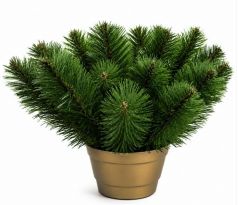 Čečinový základ 25 cm