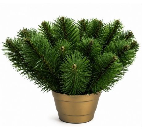 Čečinový základ 25 cm