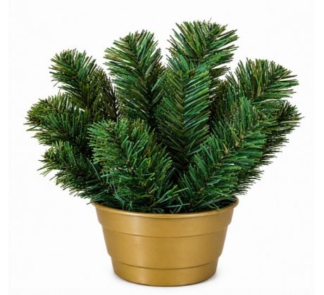 Čečinový základ mini 25 cm