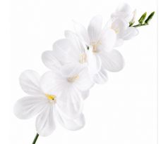 Umelá frézia biela 15 cm