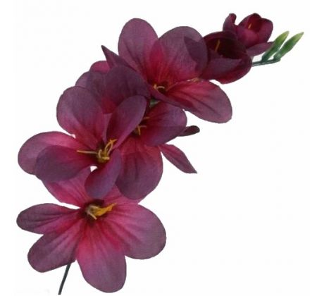 Umelá frézia burgundy 15 cm