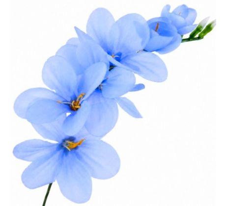 Umelá frézia modrá 15 cm