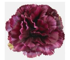 Umelý karafiát burgundy 8 cm